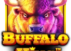 Buffalo Moon Riches
