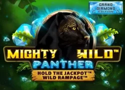 Panther Wild Treasure